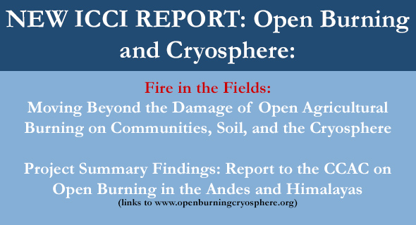 ICCI – International Cryosphere Climate Initiative