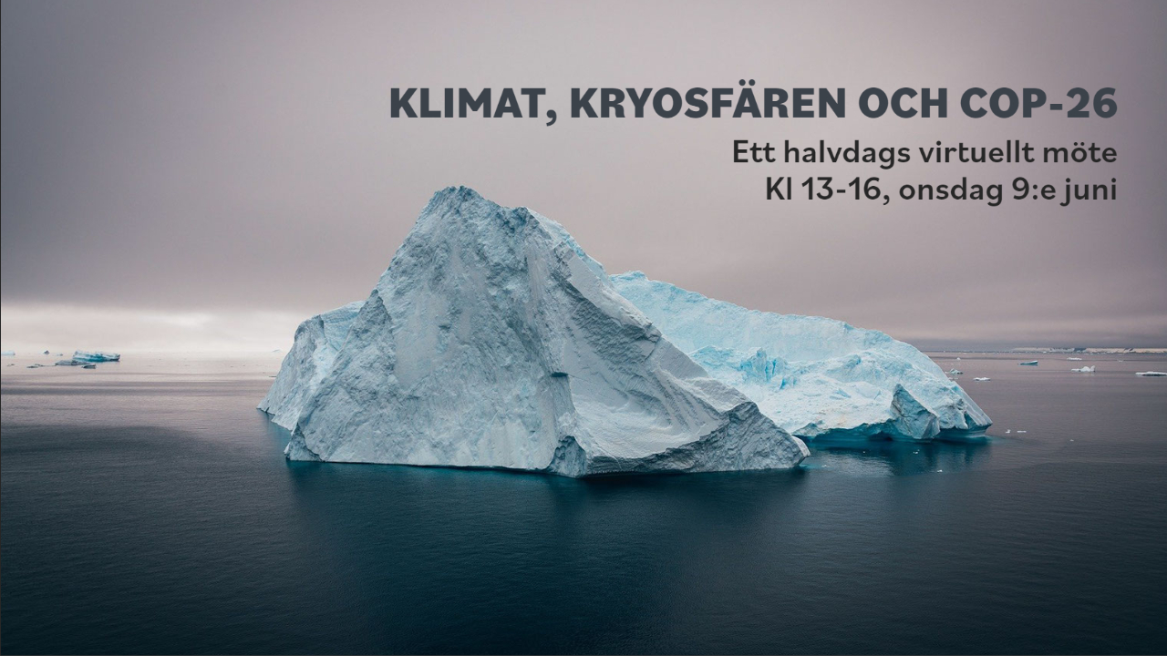 ICCI – International Cryosphere Climate Initiative