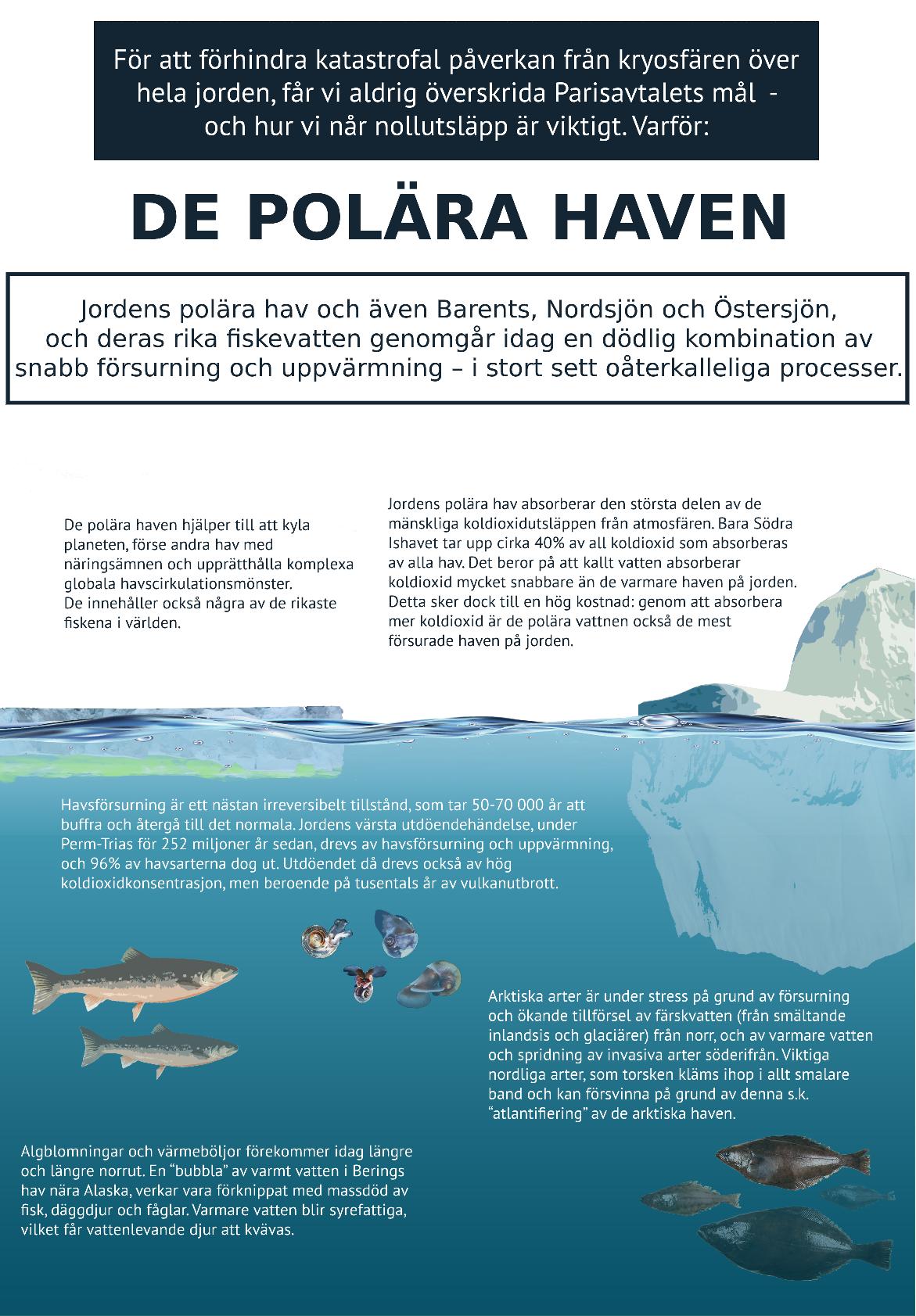 ICCI – International Cryosphere Climate Initiative
