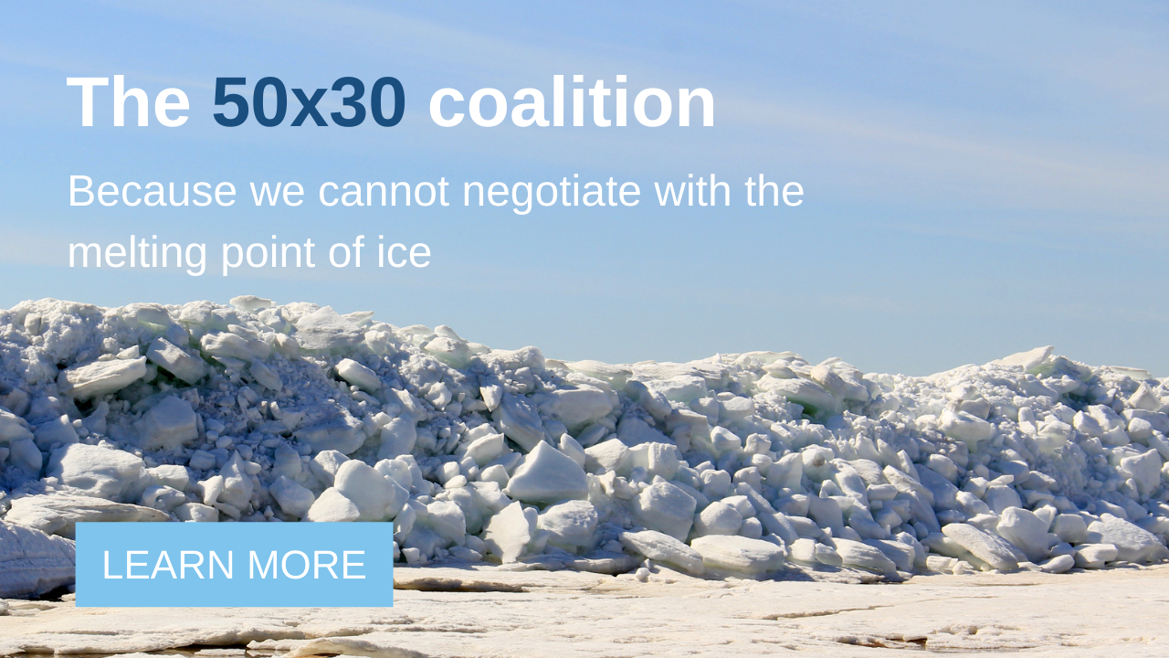 ICCI – International Cryosphere Climate Initiative