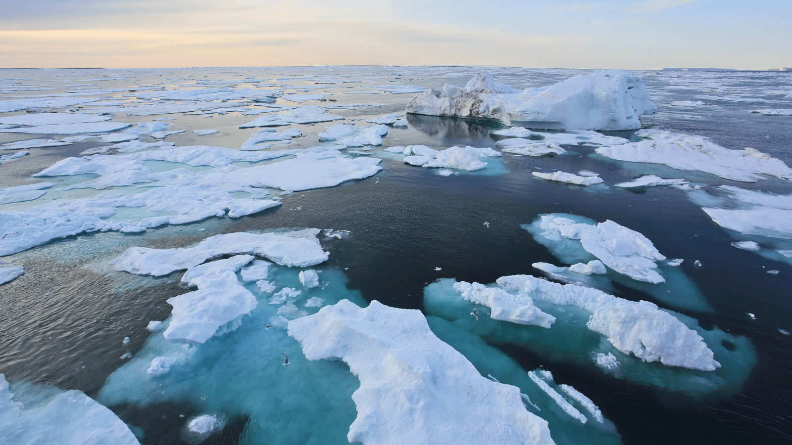 ICCI – International Cryosphere Climate Initiative