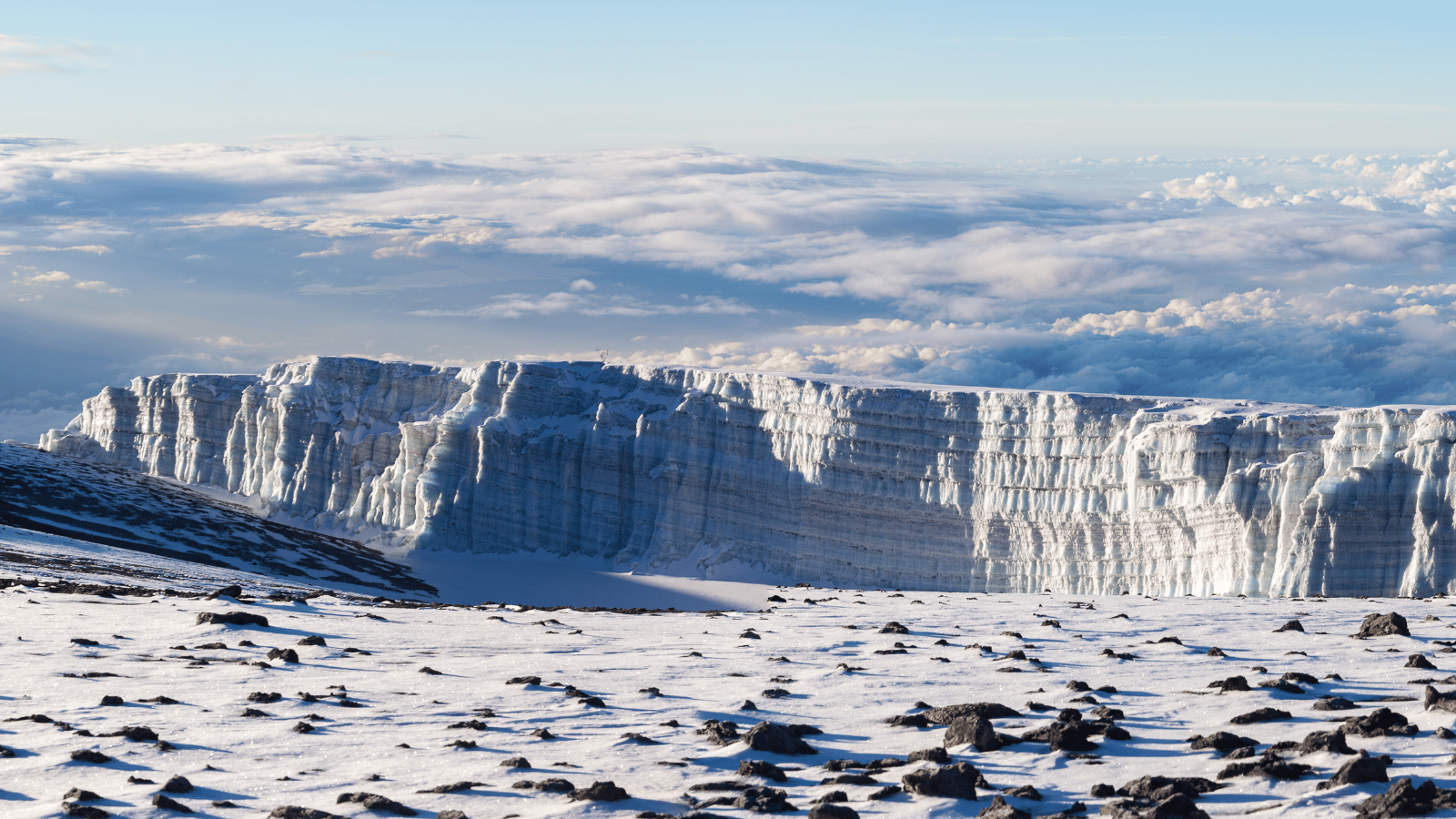 ICCI – International Cryosphere Climate Initiative