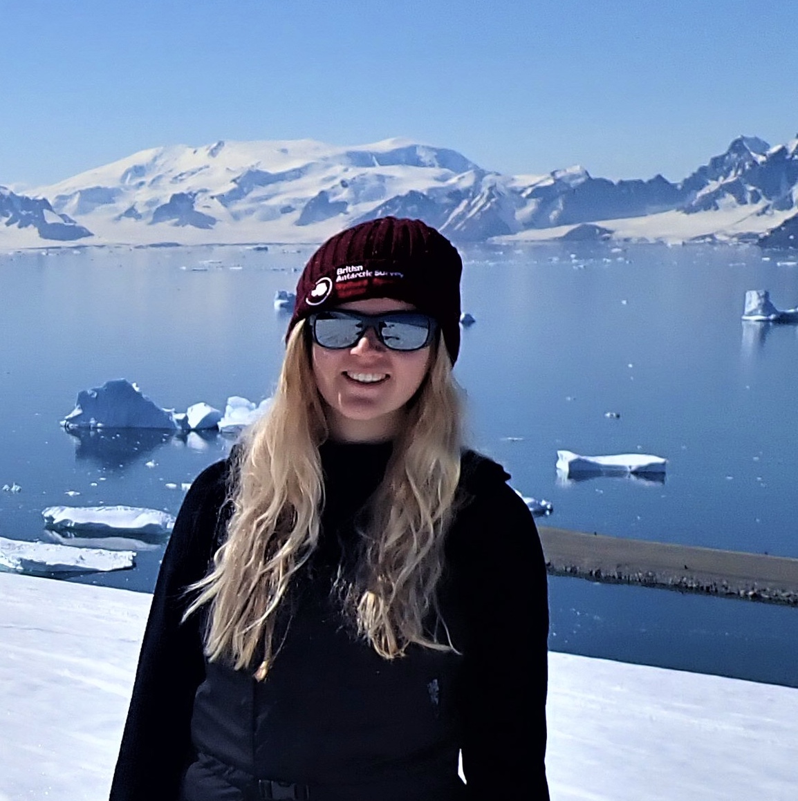 ICCI – International Cryosphere Climate Initiative