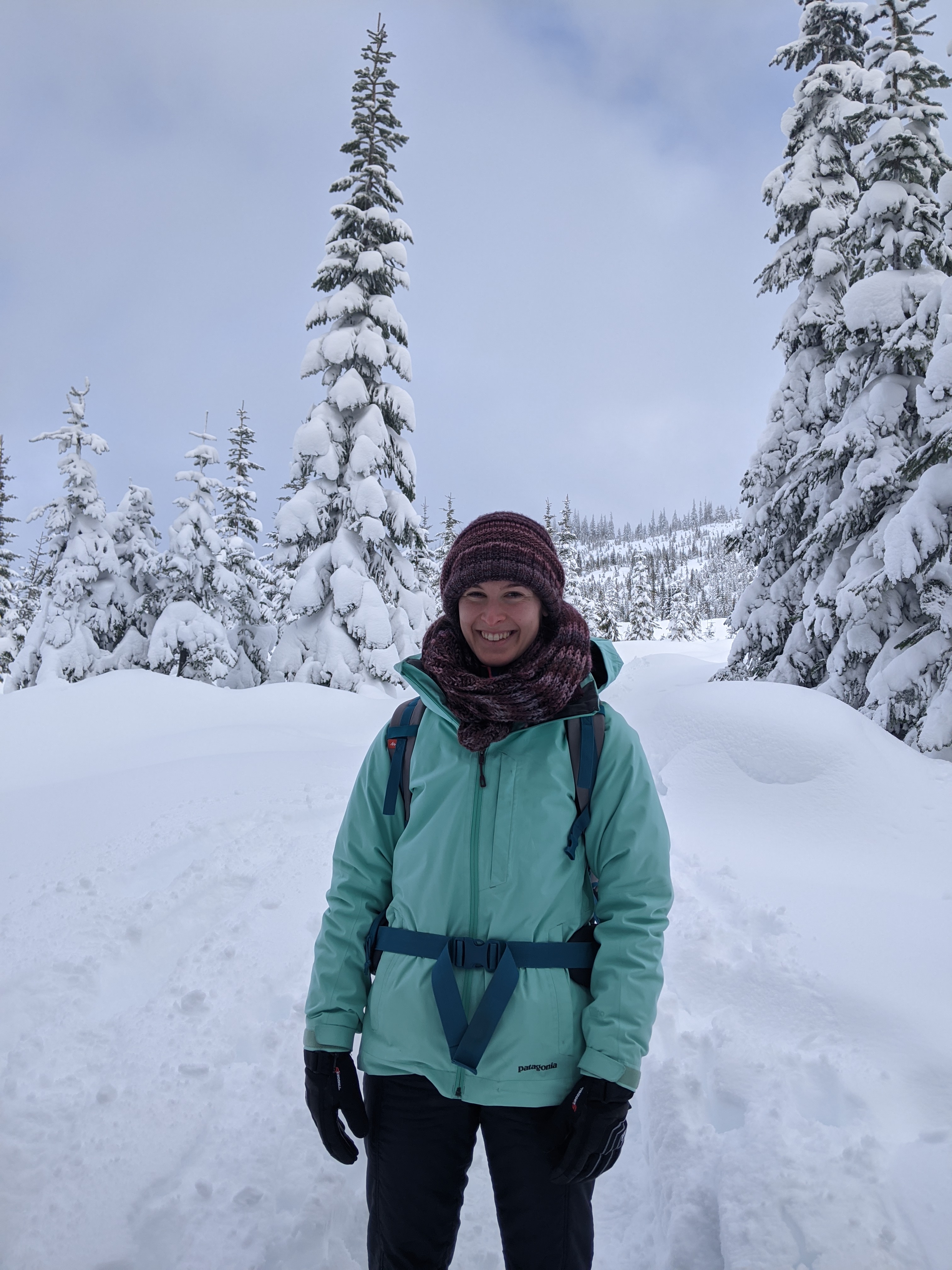 ICCI – International Cryosphere Climate Initiative