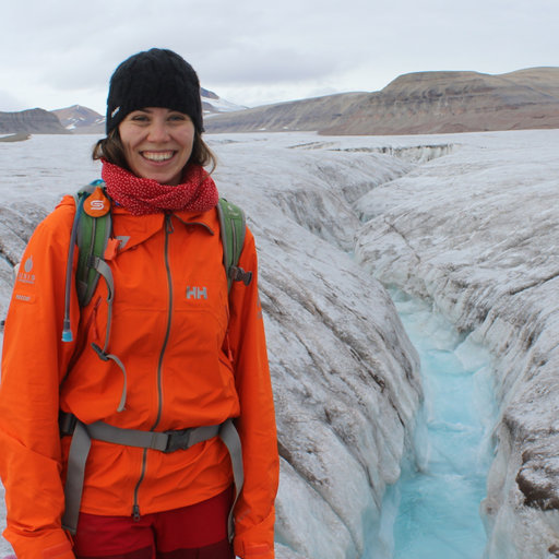 ICCI – International Cryosphere Climate Initiative